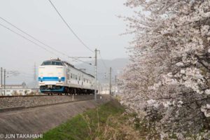 春の北陸本線　桜と419系普通列車