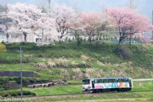 花が咲き乱れる長良川鉄道