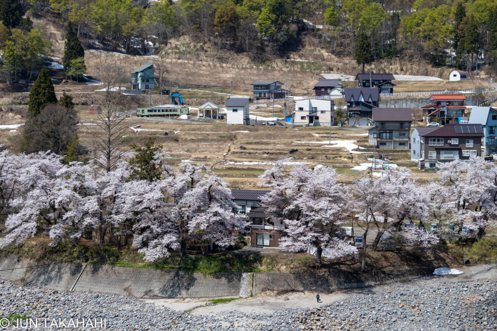 飯山線と桜
