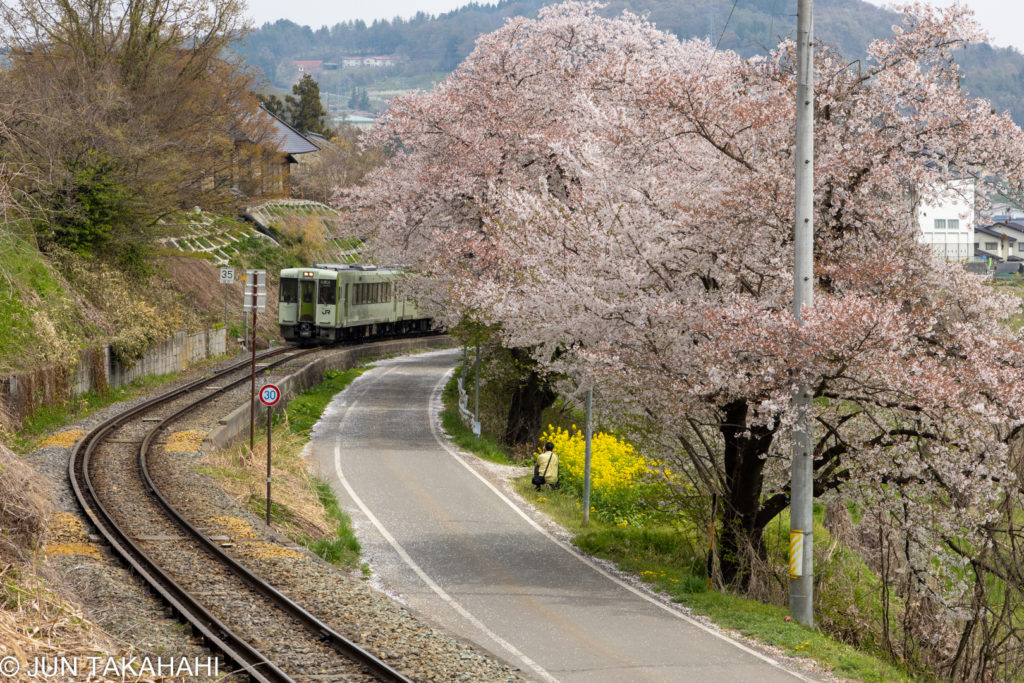 飯山線と上今井の桜